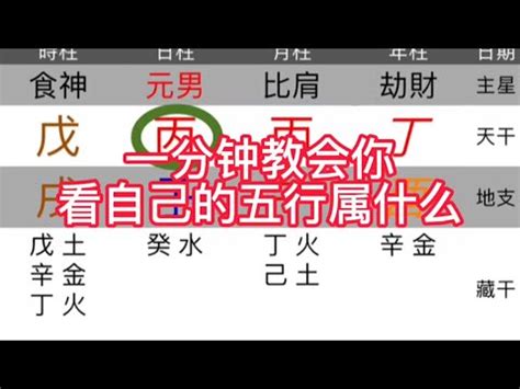 天運五行屬什麼|天運五行查詢大全，詳解